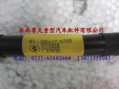 81.25417.6708,陜汽德龍蓄電池連接線,濟南尊龍(原天盛)陜汽配件銷售有限公司