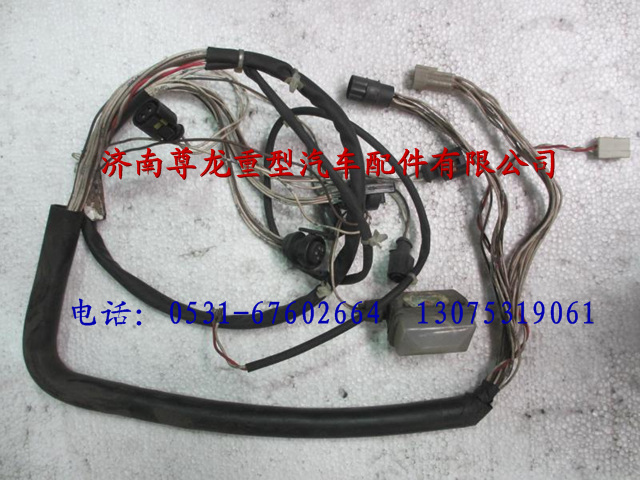 81.25426.6123,陜汽德龍左車門電線束,濟(jì)南尊龍(原天盛)陜汽配件銷售有限公司