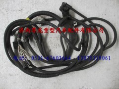 81.25426.6193,陜汽重卡德龍奧龍左前部分電線束,濟南尊龍(原天盛)陜汽配件銷售有限公司