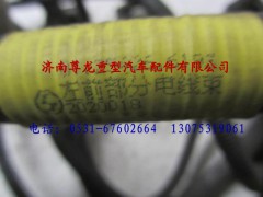 81.25426.6193,陜汽重卡德龍奧龍左前部分電線束,濟南尊龍(原天盛)陜汽配件銷售有限公司