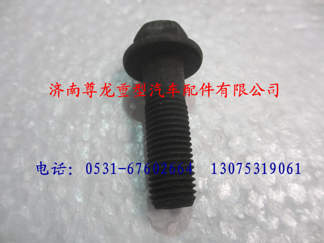 81.90001.0235,陜汽德龍螺栓,濟(jì)南尊龍(原天盛)陜汽配件銷(xiāo)售有限公司