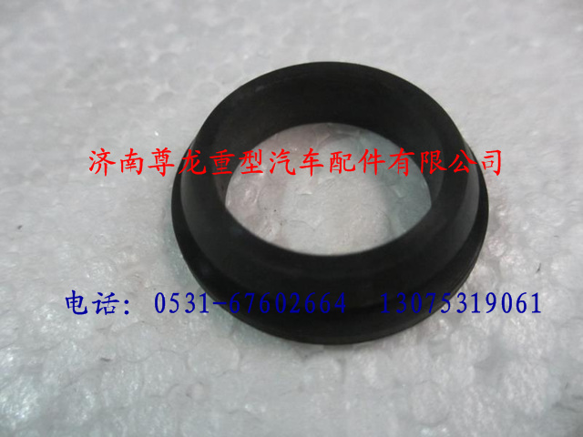 81.96001.0481,陜汽德龍穿線膠圈,濟(jì)南尊龍(原天盛)陜汽配件銷(xiāo)售有限公司