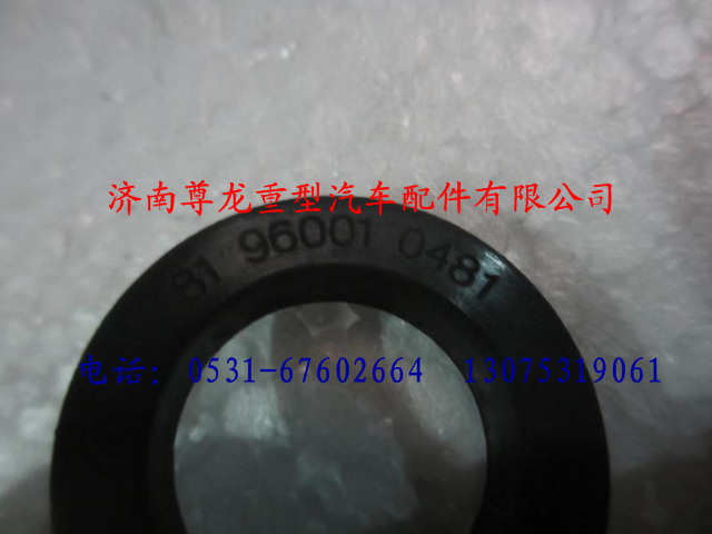81.96001.0481,陜汽德龍穿線膠圈,濟(jì)南尊龍(原天盛)陜汽配件銷(xiāo)售有限公司