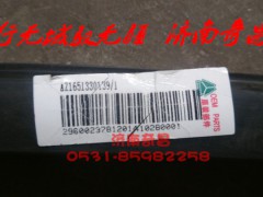AZ1651330139,左門角窗玻璃密封條（熱成型）,濟南奇昌汽車配件有限公司