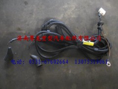 DZ93189776661,陜汽重卡德龍奧龍輪軸差線束,濟(jì)南尊龍(原天盛)陜汽配件銷(xiāo)售有限公司