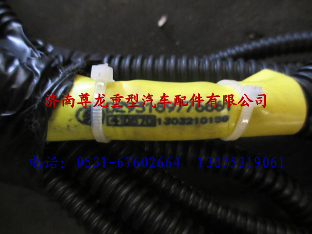 DZ93189776661,陜汽重卡德龍奧龍輪軸差線束,濟(jì)南尊龍(原天盛)陜汽配件銷(xiāo)售有限公司