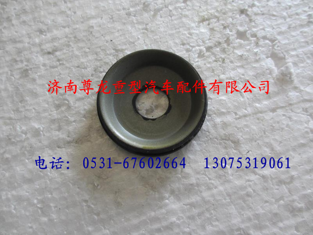 DZ9100410336,陜汽德龍5.5T主銷堵蓋總成,濟南尊龍(原天盛)陜汽配件銷售有限公司