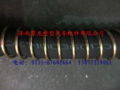 DZ9100360173,陜汽德龍軟管總成,濟(jì)南尊龍(原天盛)陜汽配件銷售有限公司