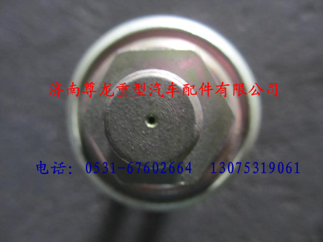 DZ9100580053,陜汽德龍油壓傳感器,濟(jì)南尊龍(原天盛)陜汽配件銷(xiāo)售有限公司