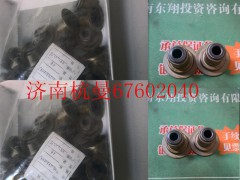 VG1246050167,氣門(mén)油封,濟(jì)南杭曼汽車(chē)配件有限公司