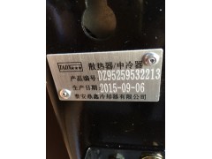 DZ95259532213,散熱器,濟(jì)南鼎立興丞汽車配件有限公司