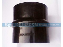 DZ91259535602,中冷器管,邢臺(tái)威力汽車(chē)零部件有限公司