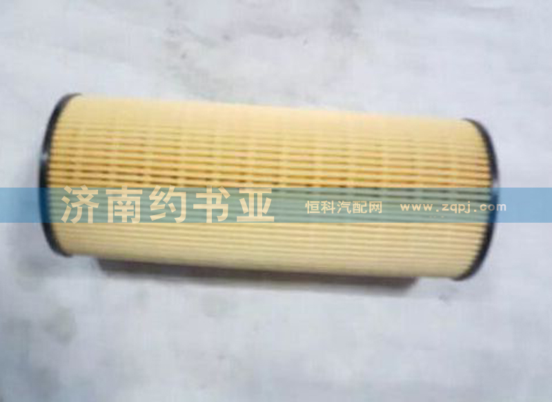 201V12503-0061,燃油濾清器芯 帶O形圈（MC11、MC07）（T7H）,濟(jì)南約書亞汽車配件有限公司（原華魯信業(yè)）