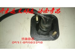 NZ9525720010,左側(cè)標(biāo)志燈,濟南奇昌汽車配件有限公司