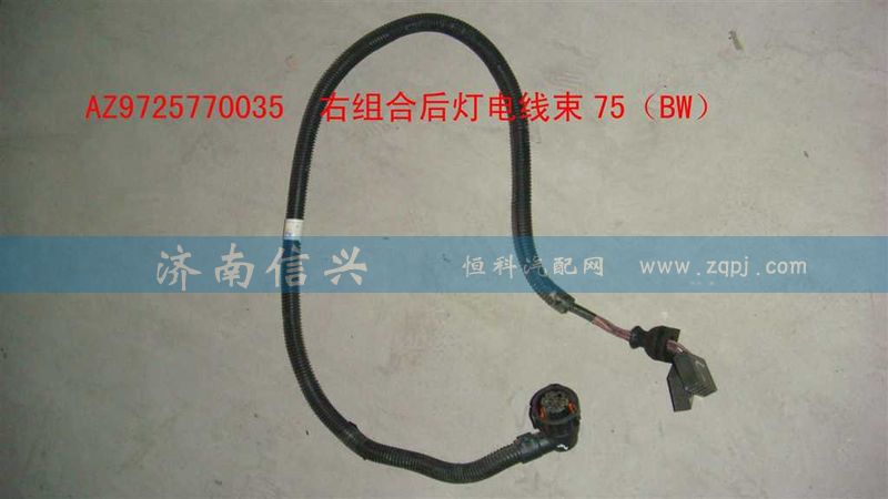 AZ9725770035,右組合后燈電線束75（BW）,濟(jì)南信興汽車配件貿(mào)易有限公司