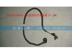 AZ9725770035,右組合后燈電線束75（BW）,濟(jì)南信興汽車配件貿(mào)易有限公司