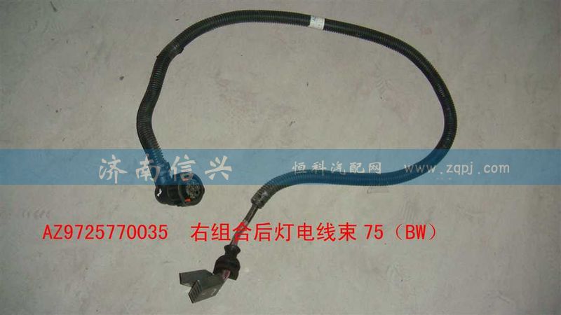 AZ9725770035,右組合后燈電線束75（BW）,濟(jì)南信興汽車配件貿(mào)易有限公司