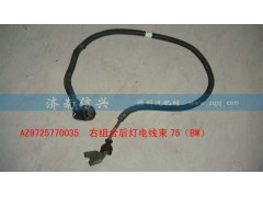AZ9725770035,右組合后燈電線束75（BW）,濟(jì)南信興汽車配件貿(mào)易有限公司