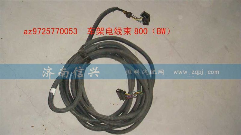AZ9725770053,車架電線束800（BW）,濟南信興汽車配件貿易有限公司