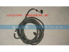 AZ9725770053,車架電線束800（BW）,濟南信興汽車配件貿易有限公司