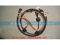 AZ9725770061,起動(dòng)機(jī)電線束（BW）,濟(jì)南信興汽車(chē)配件貿(mào)易有限公司