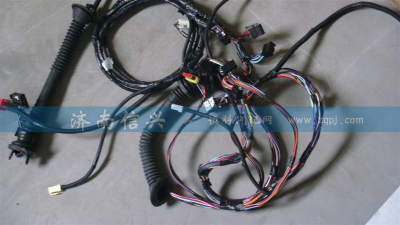 AZ9925770203,左車門電線束,濟(jì)南信興汽車配件貿(mào)易有限公司