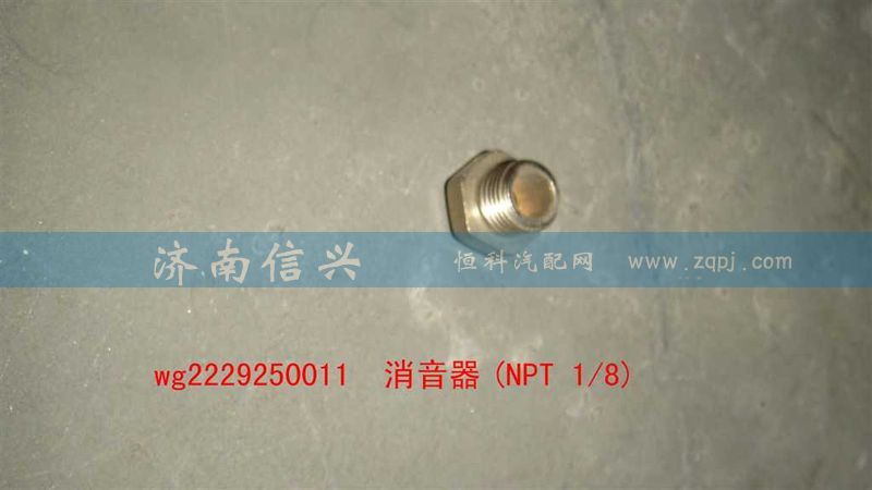 WG2229250011,消音器(NPT 1、8),濟(jì)南信興汽車配件貿(mào)易有限公司