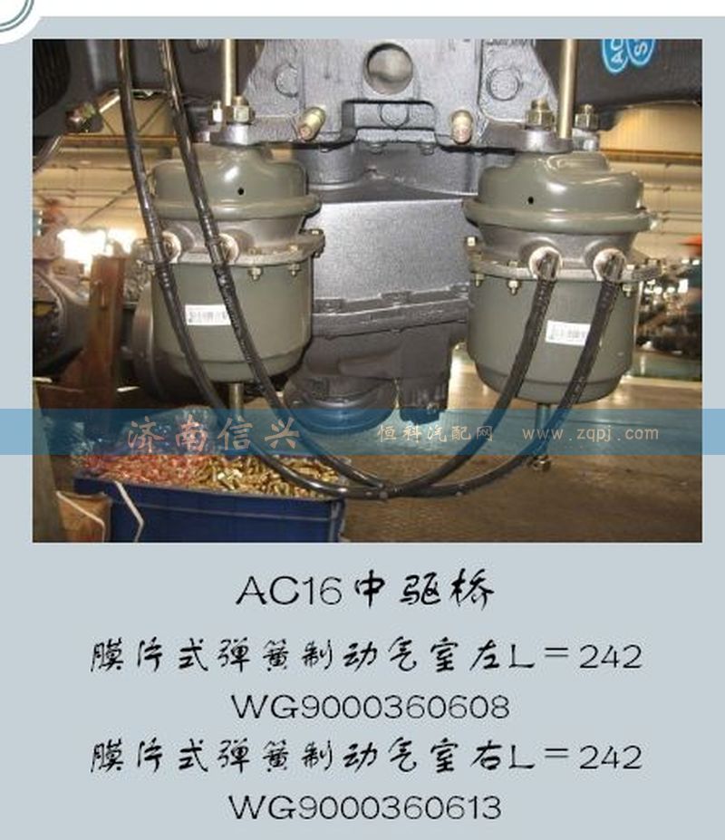 WG9000360613,膜片式彈簧制動(dòng)氣室右L=242,濟(jì)南信興汽車(chē)配件貿(mào)易有限公司
