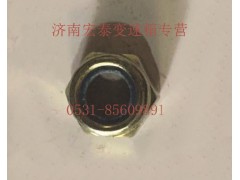 AZ9003881616,六角尼龍圈鎖緊螺母,濟(jì)南宏泰變速箱專營店