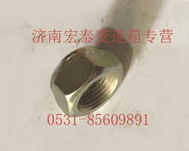 AZ9003881616,六角尼龍圈鎖緊螺母,濟(jì)南宏泰變速箱專營店