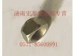 AZ9003881616,六角尼龍圈鎖緊螺母,濟(jì)南宏泰變速箱專營店