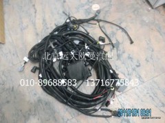 H0362040051A0,底盤線束總成,北京遠(yuǎn)大歐曼汽車配件有限公司