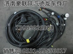 DZ93189774691,發(fā)動(dòng)機(jī)、變速器底盤(pán)電線束,山東豪聯(lián)車(chē)身制造廠