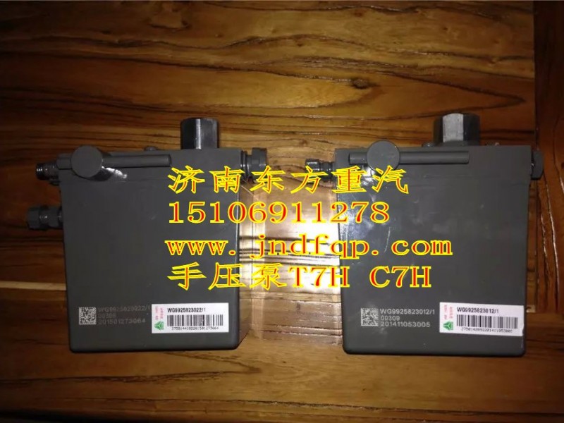 WG9925823012,手壓泵,濟(jì)南東方重汽配件銷(xiāo)售中心