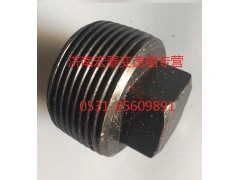 AZ2229220013,螺塞,濟南宏泰變速箱專營店