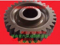 WG9981320107,從動圓柱齒輪,濟南凱爾特商貿有限公司
