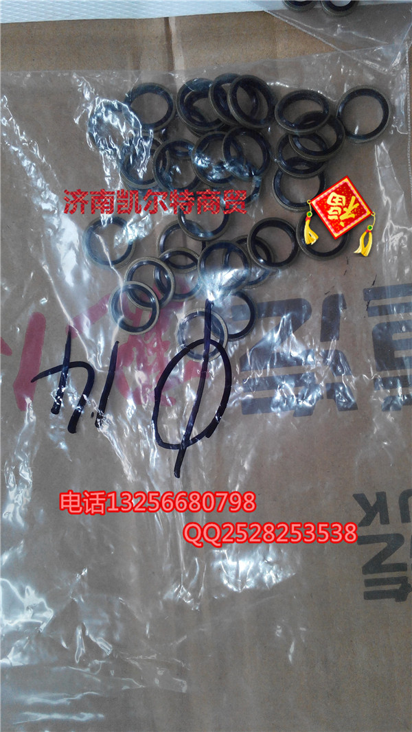 VG2600080200,金王子密封墊圈,濟南凱爾特商貿(mào)有限公司