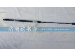 810W97006-0003,T5G空氣彈簧,濟(jì)南約書(shū)亞汽車(chē)配件有限公司（原華魯信業(yè)）