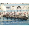 080V10100-6085  博世 豪沃噴油器