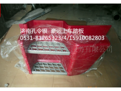 NZ1651240001,上車踏板總成（左）,濟(jì)南隆旭汽車配件有限公司