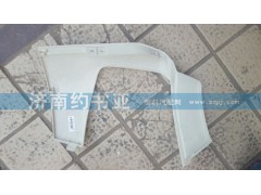 WG1664245003,保險(xiǎn)杠左段T5G,濟(jì)南約書亞汽車配件有限公司（原華魯信業(yè)）
