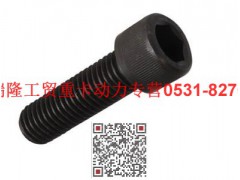 90003862327,內(nèi)六角圓柱頭螺釘,濟(jì)南瑞隆工貿(mào)重卡動(dòng)力專營(yíng)