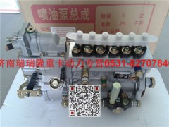 612600087169,高壓油泵,濟(jì)南瑞隆工貿(mào)重卡動力專營