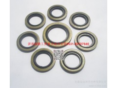 90003098029,密封墊圈,濟(jì)南瑞隆工貿(mào)重卡動(dòng)力專營