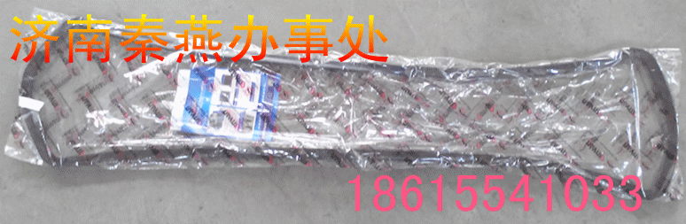 STR  秦燕油底殼膠墊