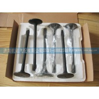 各種型號(hào)歐III氣門(mén)