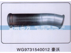 WG9731540012,撓性軟管豪沃,濟(jì)南金剛志方商貿(mào)有限公司