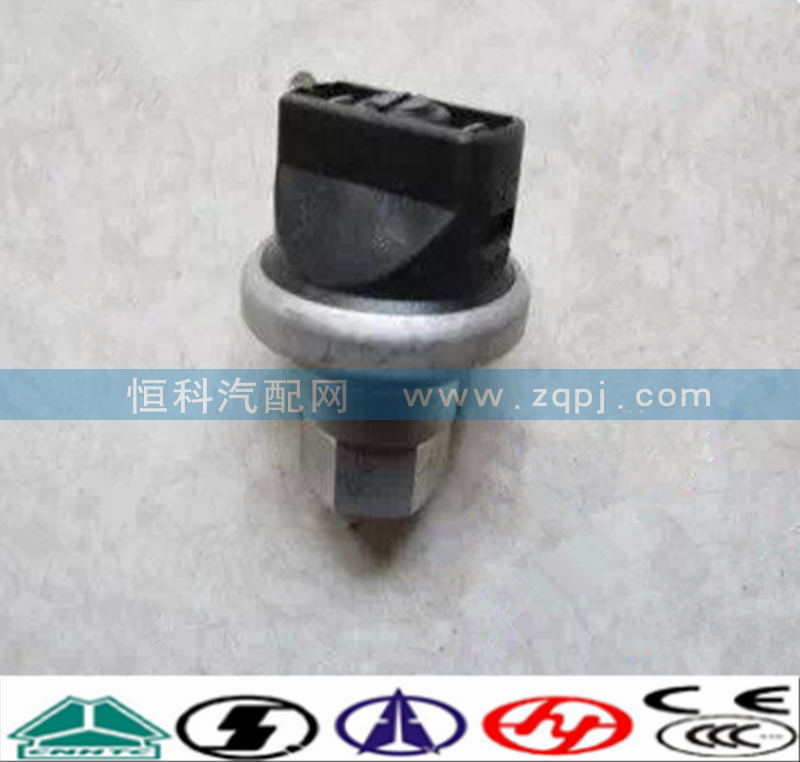 WG1200190040,空濾器堵塞開關(guān),濟(jì)南嘉磊汽車配件有限公司(原濟(jì)南瑞翔)