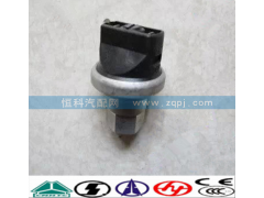 WG1200190040,空濾器堵塞開關(guān),濟(jì)南嘉磊汽車配件有限公司(原濟(jì)南瑞翔)