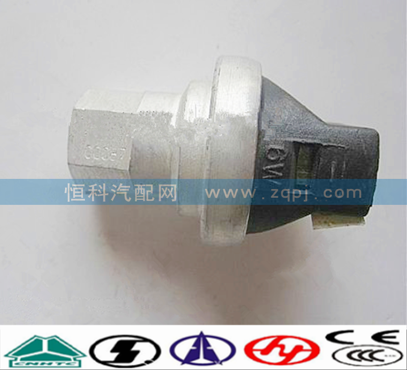WG1200190040,空濾器堵塞開關(guān),濟(jì)南嘉磊汽車配件有限公司(原濟(jì)南瑞翔)